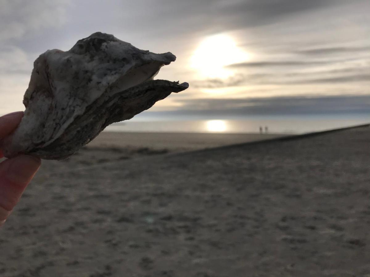 Appartamento Huus Borkum Esterno foto